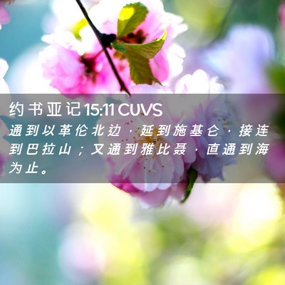 Picture 02 - 约 书 亚 记 15:11 CUVS - 通 到 以 革 伦 北 边 ， 延 到 施 基 - Bible Verse Picture