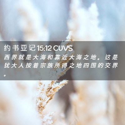 Picture 02 - 约 书 亚 记 15:12 CUVS - 西 界 就 是 大 海 和 靠 近 大 海 之 - Bible Verse Picture