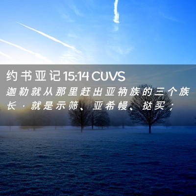 Picture 02 - 约 书 亚 记 15:14 CUVS - 迦 勒 就 从 那 里 赶 出 亚 衲 族 的 - Bible Verse Picture