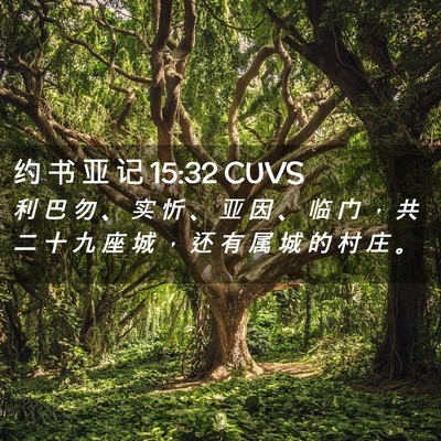 Picture 02 - 约 书 亚 记 15:32 CUVS - 利 巴 勿 、 实 忻 、 亚 因 、 临 门 - Bible Verse Picture