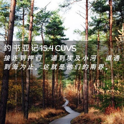 Picture 02 - 约 书 亚 记 15:4 CUVS - 接 连 到 押 们 ， 通 到 埃 及 小 河 - Bible Verse Picture