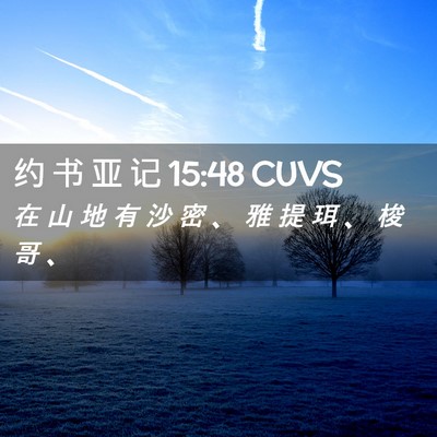 Picture 02 - 约 书 亚 记 15:48 CUVS - 在 山 地 有 沙 密 、 雅 提 珥 、 梭 - Bible Verse Picture