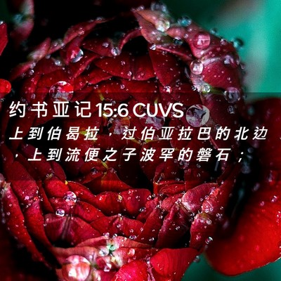 Picture 02 - 约 书 亚 记 15:6 CUVS - 上 到 伯 曷 拉 ， 过 伯 亚 拉 巴 的 - Bible Verse Picture
