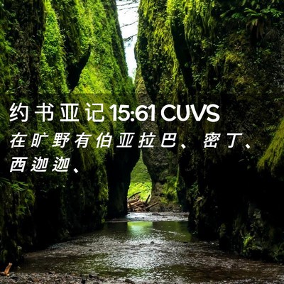 Picture 02 - 约 书 亚 记 15:61 CUVS - 在 旷 野 有 伯 亚 拉 巴 、 密 丁 、 - Bible Verse Picture