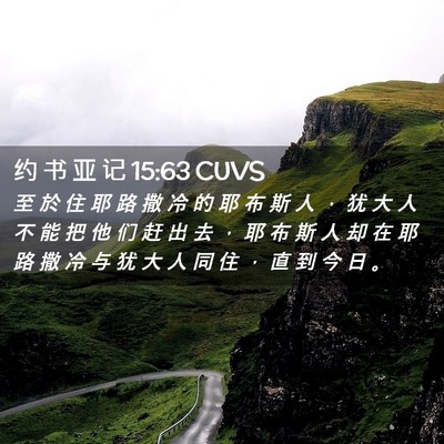 Picture 02 - 约 书 亚 记 15:63 CUVS - 至 於 住 耶 路 撒 冷 的 耶 布 斯 人 - Bible Verse Picture