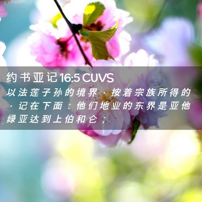 Picture 02 - 约 书 亚 记 16:5 CUVS - 以 法 莲 子 孙 的 境 界 ， 按 着 宗 - Bible Verse Picture