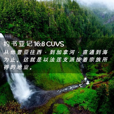 Picture 02 - 约 书 亚 记 16:8 CUVS - 从 他 普 亚 往 西 ， 到 加 拿 河 ， - Bible Verse Picture