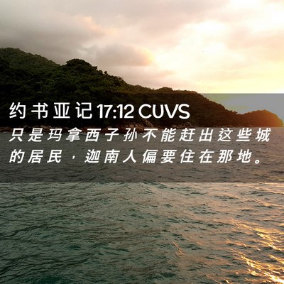 Picture 02 - 约 书 亚 记 17:12 CUVS - 只 是 玛 拿 西 子 孙 不 能 赶 出 这 - Bible Verse Picture