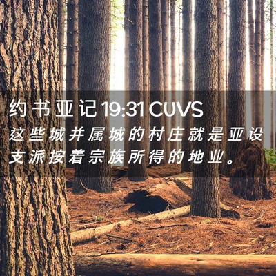 Picture 02 - 约 书 亚 记 19:31 CUVS - 这 些 城 并 属 城 的 村 庄 就 是 亚 - Bible Verse Picture