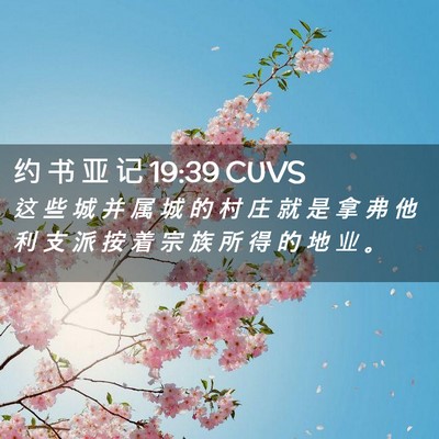 Picture 02 - 约 书 亚 记 19:39 CUVS - 这 些 城 并 属 城 的 村 庄 就 是 拿 - Bible Verse Picture