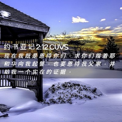 Picture 02 - 约 书 亚 记 2:12 CUVS - 现 在 我 既 是 恩 待 你 们 ， 求 你 - Bible Verse Picture