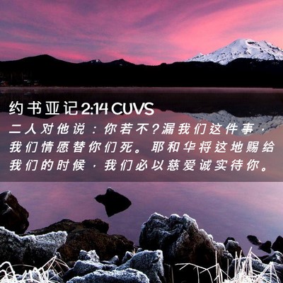 Picture 02 - 约 书 亚 记 2:14 CUVS - 二 人 对 他 说 ： 你 若 不 ? 漏 我 们 - Bible Verse Picture