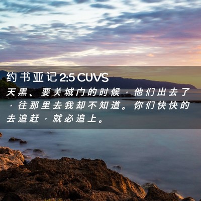 Picture 02 - 约 书 亚 记 2:5 CUVS - 天 黑 、 要 关 城 门 的 时 候 ， 他 - Bible Verse Picture
