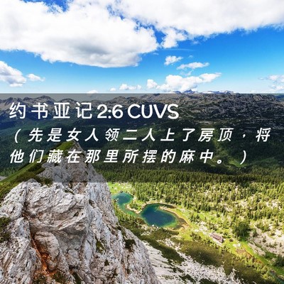 Picture 02 - 约 书 亚 记 2:6 CUVS - （ 先 是 女 人 领 二 人 上 了 房 顶 - Bible Verse Picture