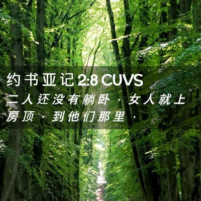 Picture 02 - 约 书 亚 记 2:8 CUVS - 二 人 还 没 有 躺 卧 ， 女 人 就 上 - Bible Verse Picture