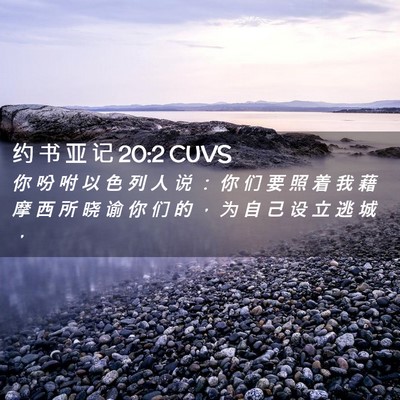 Picture 02 - 约 书 亚 记 20:2 CUVS - 你 吩 咐 以 色 列 人 说 ： 你 们 要 - Bible Verse Picture