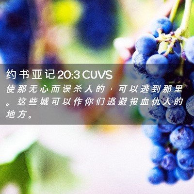 Picture 02 - 约 书 亚 记 20:3 CUVS - 使 那 无 心 而 误 杀 人 的 ， 可 以 - Bible Verse Picture