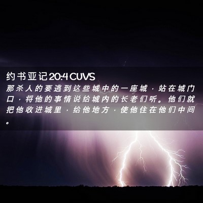 Picture 02 - 约 书 亚 记 20:4 CUVS - 那 杀 人 的 要 逃 到 这 些 城 中 的 - Bible Verse Picture