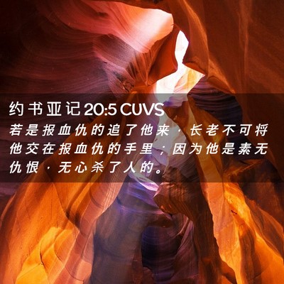Picture 02 - 约 书 亚 记 20:5 CUVS - 若 是 报 血 仇 的 追 了 他 来 ， 长 - Bible Verse Picture