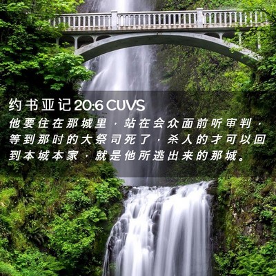 Picture 02 - 约 书 亚 记 20:6 CUVS - 他 要 住 在 那 城 里 ， 站 在 会 众 - Bible Verse Picture