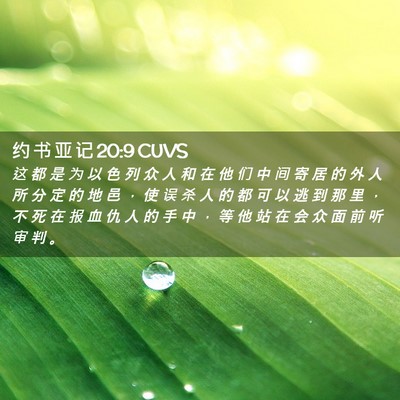 Picture 02 - 约 书 亚 记 20:9 CUVS - 这 都 是 为 以 色 列 众 人 和 在 他 - Bible Verse Picture
