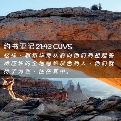 Picture 02 - 约 书 亚 记 21:43 CUVS - 这 样 ， 耶 和 华 将 从 前 向 他 们 - Bible Verse Picture