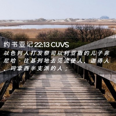 Picture 02 - 约 书 亚 记 22:13 CUVS - 以 色 列 人 打 发 祭 司 以 利 亚 撒 - Bible Verse Picture