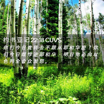 Picture 02 - 约 书 亚 记 22:18 CUVS - 你 们 今 日 竟 转 去 不 跟 从 耶 和 - Bible Verse Picture