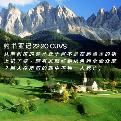 Picture 02 - 约 书 亚 记 22:20 CUVS - 从 前 谢 拉 的 曾 孙 亚 干 岂 不 是 - Bible Verse Picture