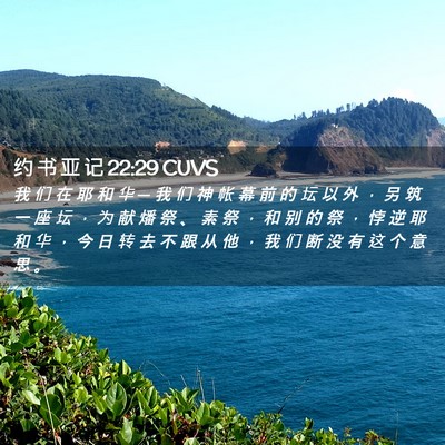 Picture 02 - 约 书 亚 记 22:29 CUVS - 我 们 在 耶 和 华 ─ 我 们 神 帐 幕 - Bible Verse Picture