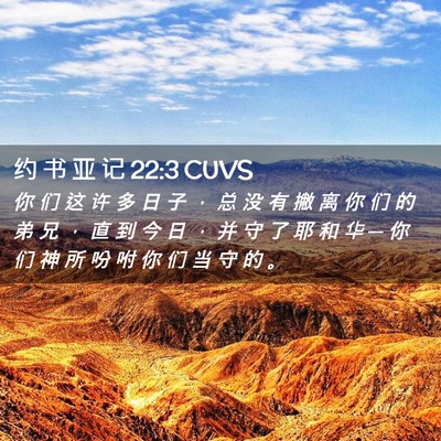 Picture 02 - 约 书 亚 记 22:3 CUVS - 你 们 这 许 多 日 子 ， 总 没 有 撇 - Bible Verse Picture