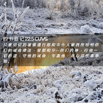 Picture 02 - 约 书 亚 记 22:5 CUVS - 只 要 切 切 的 谨 慎 遵 行 耶 和 华 - Bible Verse Picture