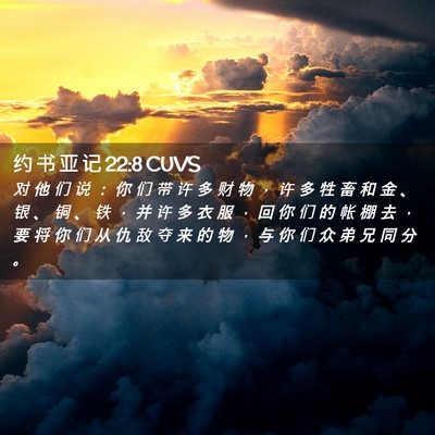 Picture 02 - 约 书 亚 记 22:8 CUVS - 对 他 们 说 ： 你 们 带 许 多 财 物 - Bible Verse Picture