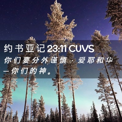 Picture 02 - 约 书 亚 记 23:11 CUVS - 你 们 要 分 外 谨 慎 ， 爱 耶 和 华 - Bible Verse Picture