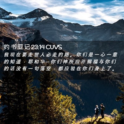 Picture 02 - 约 书 亚 记 23:14 CUVS - 我 现 在 要 走 世 人 必 走 的 路 。 - Bible Verse Picture