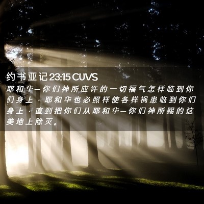 Picture 02 - 约 书 亚 记 23:15 CUVS - 耶 和 华 ─ 你 们 神 所 应 许 的 一 - Bible Verse Picture