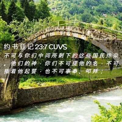 Picture 02 - 约 书 亚 记 23:7 CUVS - 不 可 与 你 们 中 间 所 剩 下 的 这 - Bible Verse Picture