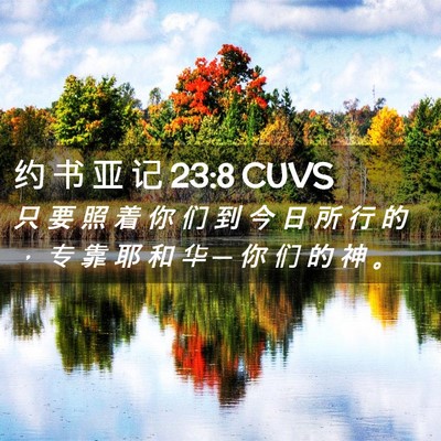 Picture 02 - 约 书 亚 记 23:8 CUVS - 只 要 照 着 你 们 到 今 日 所 行 的 - Bible Verse Picture