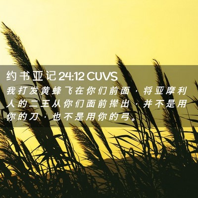 Picture 02 - 约 书 亚 记 24:12 CUVS - 我 打 发 黄 蜂 飞 在 你 们 前 面 ， - Bible Verse Picture