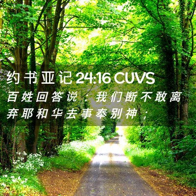 Picture 02 - 约 书 亚 记 24:16 CUVS - 百 姓 回 答 说 ： 我 们 断 不 敢 离 - Bible Verse Picture