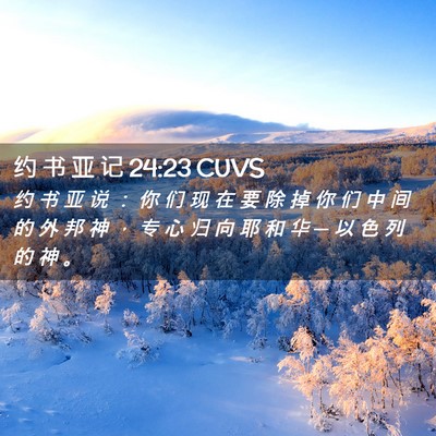 Picture 02 - 约 书 亚 记 24:23 CUVS - 约 书 亚 说 ： 你 们 现 在 要 除 掉 - Bible Verse Picture