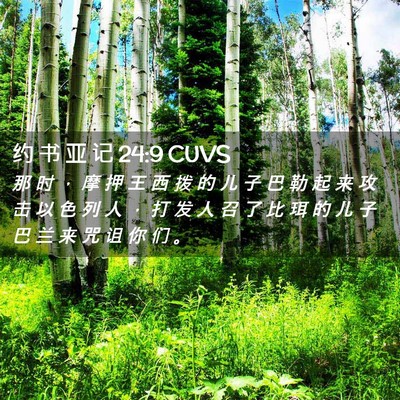 Picture 02 - 约 书 亚 记 24:9 CUVS - 那 时 ， 摩 押 王 西 拨 的 儿 子 巴 - Bible Verse Picture