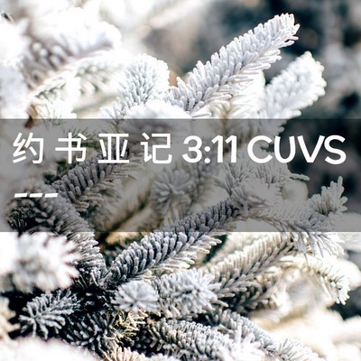 Picture 02 - 约 书 亚 记 3:11 CUVS -  - Bible Verse Picture