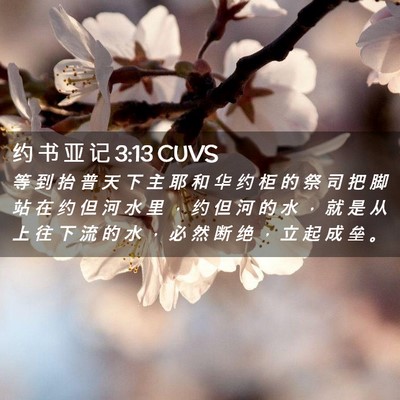Picture 02 - 约 书 亚 记 3:13 CUVS - 等 到 抬 普 天 下 主 耶 和 华 约 柜 - Bible Verse Picture