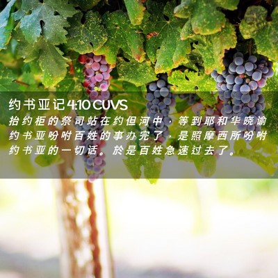 Picture 02 - 约 书 亚 记 4:10 CUVS - 抬 约 柜 的 祭 司 站 在 约 但 河 中 - Bible Verse Picture