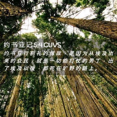 Picture 02 - 约 书 亚 记 5:4 CUVS - 约 书 亚 行 割 礼 的 缘 故 ， 是 因 - Bible Verse Picture