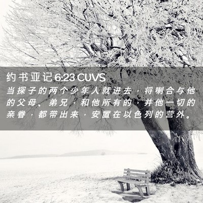 Picture 02 - 约 书 亚 记 6:23 CUVS - 当 探 子 的 两 个 少 年 人 就 进 去 - Bible Verse Picture