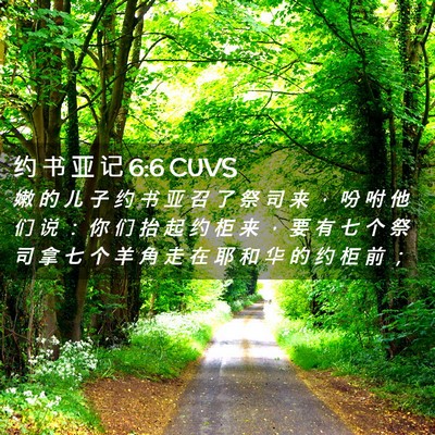 Picture 02 - 约 书 亚 记 6:6 CUVS - 嫩 的 儿 子 约 书 亚 召 了 祭 司 来 - Bible Verse Picture