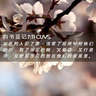 Picture 02 - 约 书 亚 记 7:11 CUVS - 以 色 列 人 犯 了 罪 ， 违 背 了 我 - Bible Verse Picture
