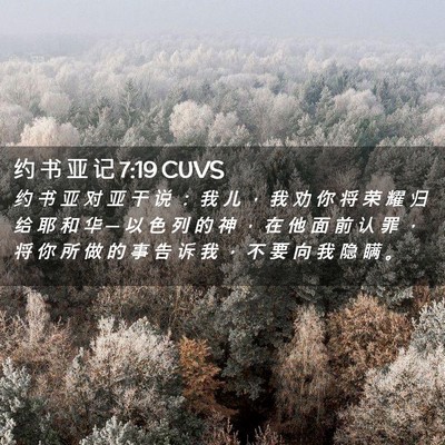 Picture 02 - 约 书 亚 记 7:19 CUVS - 约 书 亚 对 亚 干 说 ： 我 儿 ， 我 - Bible Verse Picture